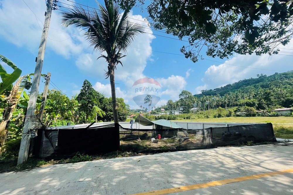 Land - Residential - For Sale - Koh Samui, Surat Thani - IMG_3916.jpeg - 920121079-38