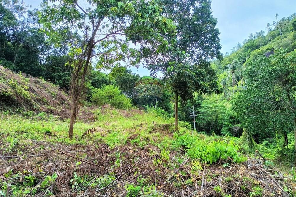 Land - Residential - For Sale - Koh Samui, Surat Thani - WhatsApp Image 2025-09-30 at 15.42.35_7e0507bf.jpg - 920121083-65