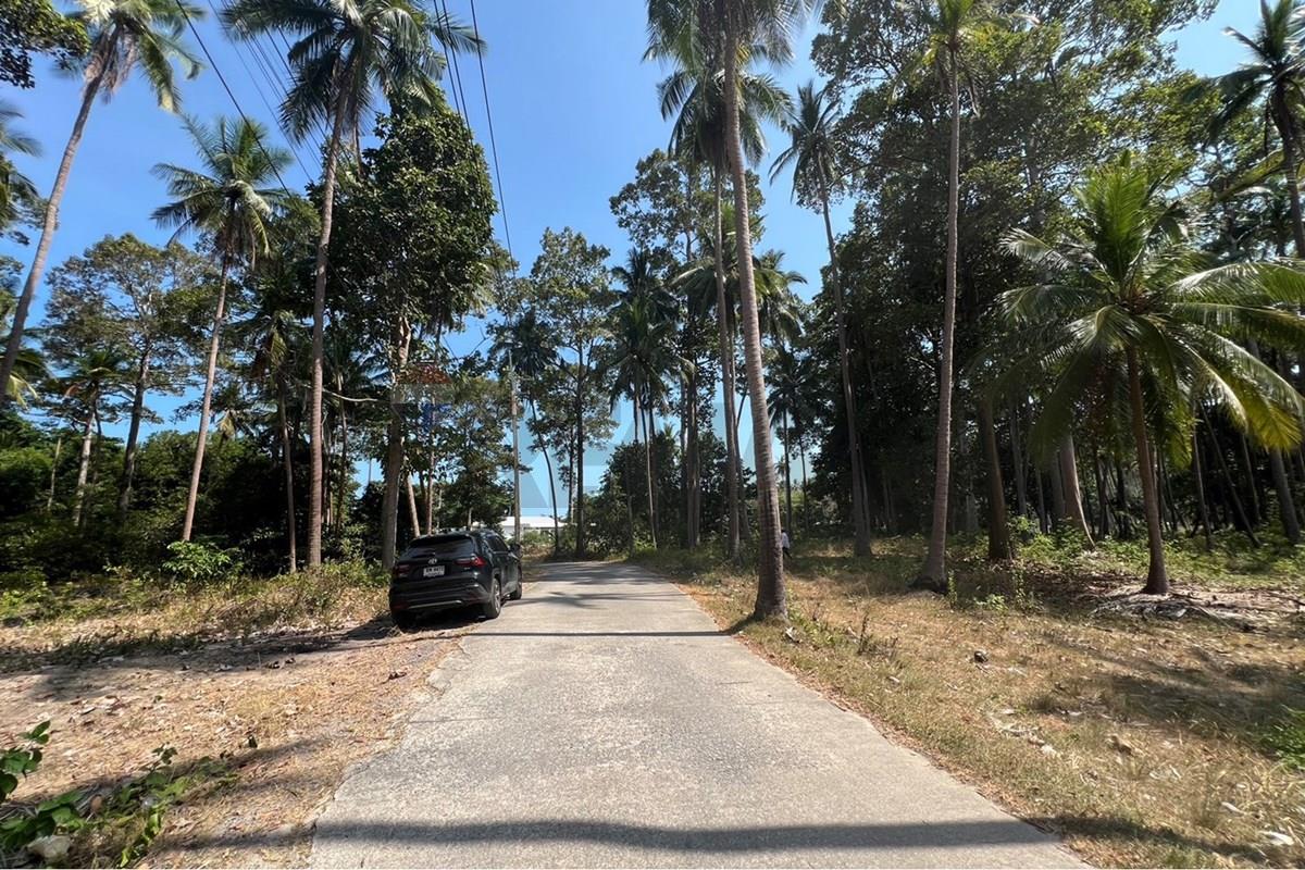 Land - Residential - For Sale - Koh Samui, Surat Thani - S__42606610_0.jpg - 920121030-309