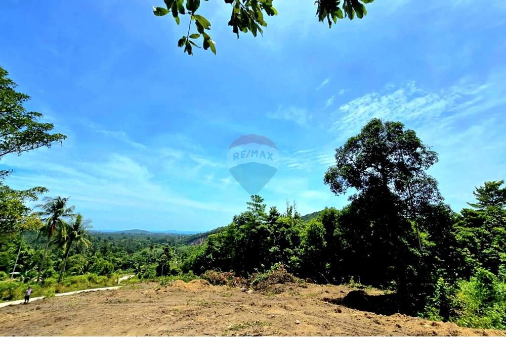 Land - Residential - For Sale - Koh Samui, Surat Thani - 516713380_10222356863550237_3329925260264253119_n.jpg - 920121018-306