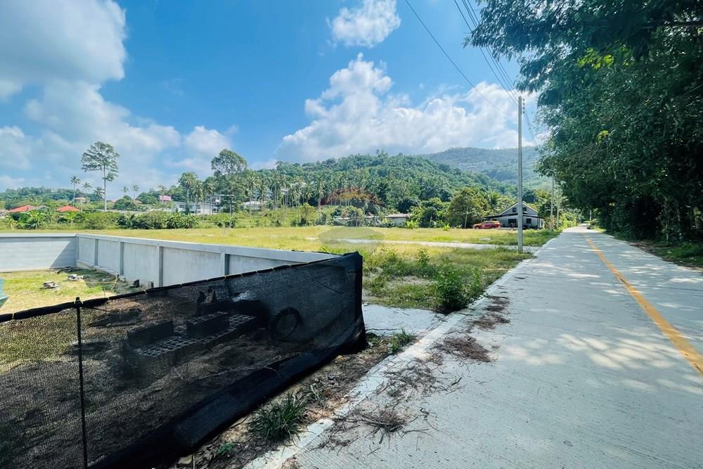 Land - Residential - For Sale - Koh Samui, Surat Thani - IMG_3909.jpeg - 920121079-38