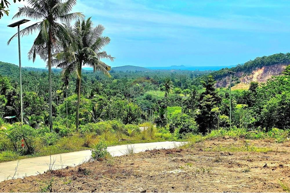 Land - Residential - For Sale - Koh Samui, Surat Thani - 006.jpg - 920121018-306