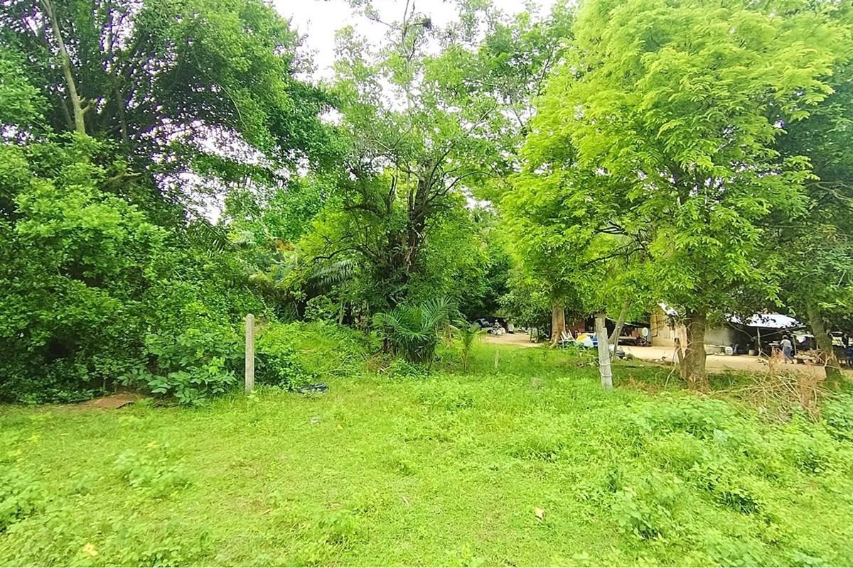 Land - Residential - For Sale - Koh Samui, Surat Thani - 672633_0.jpg - 920121075-110