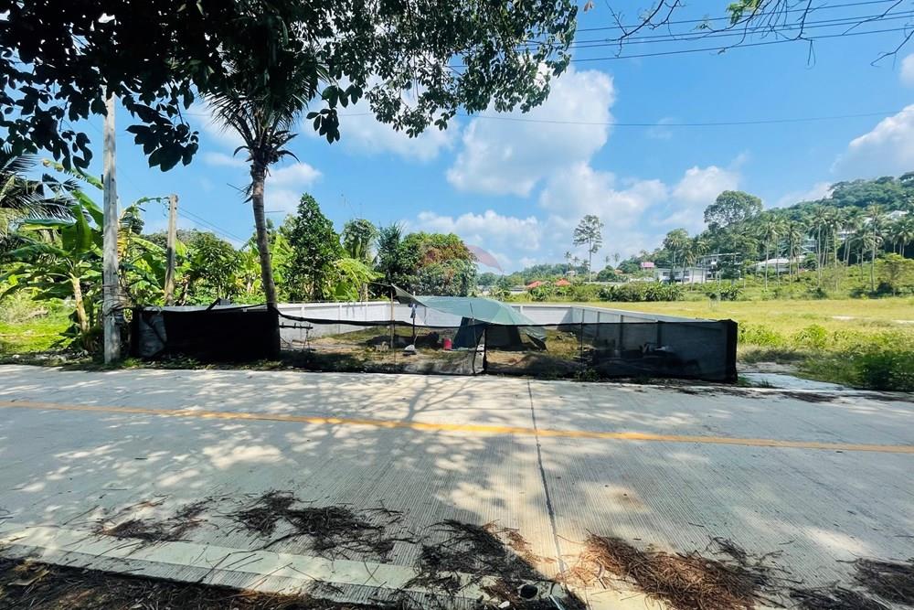 Land - Residential - For Sale - Koh Samui, Surat Thani - IMG_3907.jpeg - 920121079-38