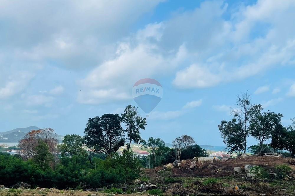 Land - Residential - For Rent/Lease - Koh Samui, Surat Thani - IMG_5798.jpeg - 920121079-45