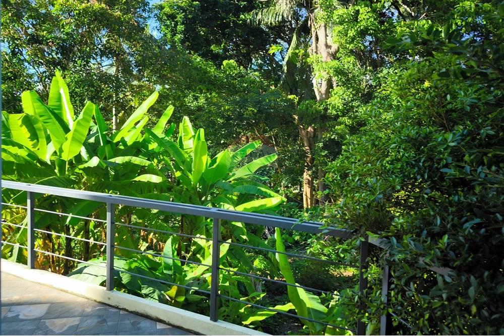 Residential - Condo/Apartment - Mueang Phuket, Phuket - TH - 2025-05-07 16.35.58-1.jpg - 920081001-1264