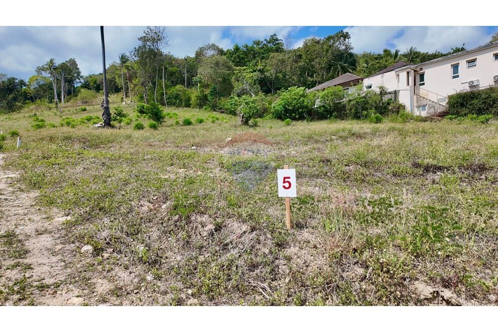 Land - Residential - For Sale - Koh Samui, Surat Thani - Plot 5.jpg - 920121001-3514
