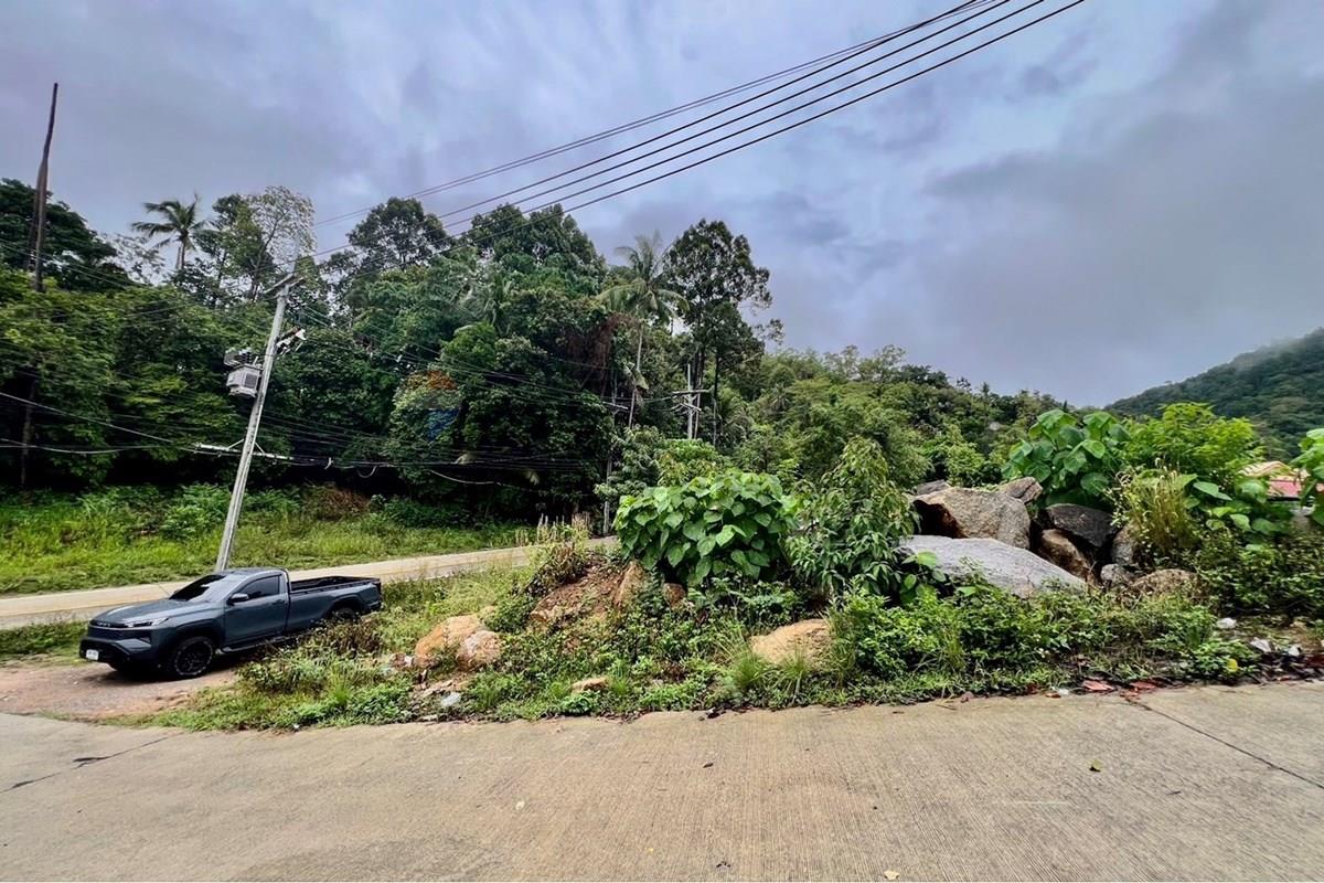 Land - Residential - For Sale - Koh Samui, Surat Thani - S__211861528_0.jpg - 920121030-305
