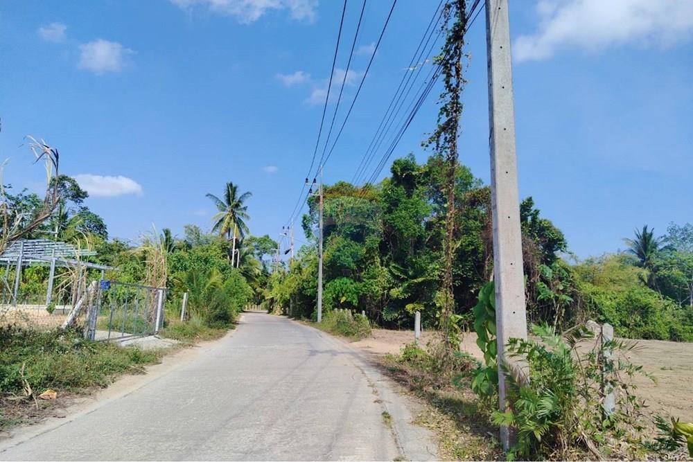 Land - Residential - For Sale - Koh Samui, Surat Thani - 655635_0.jpg - 920121075-106
