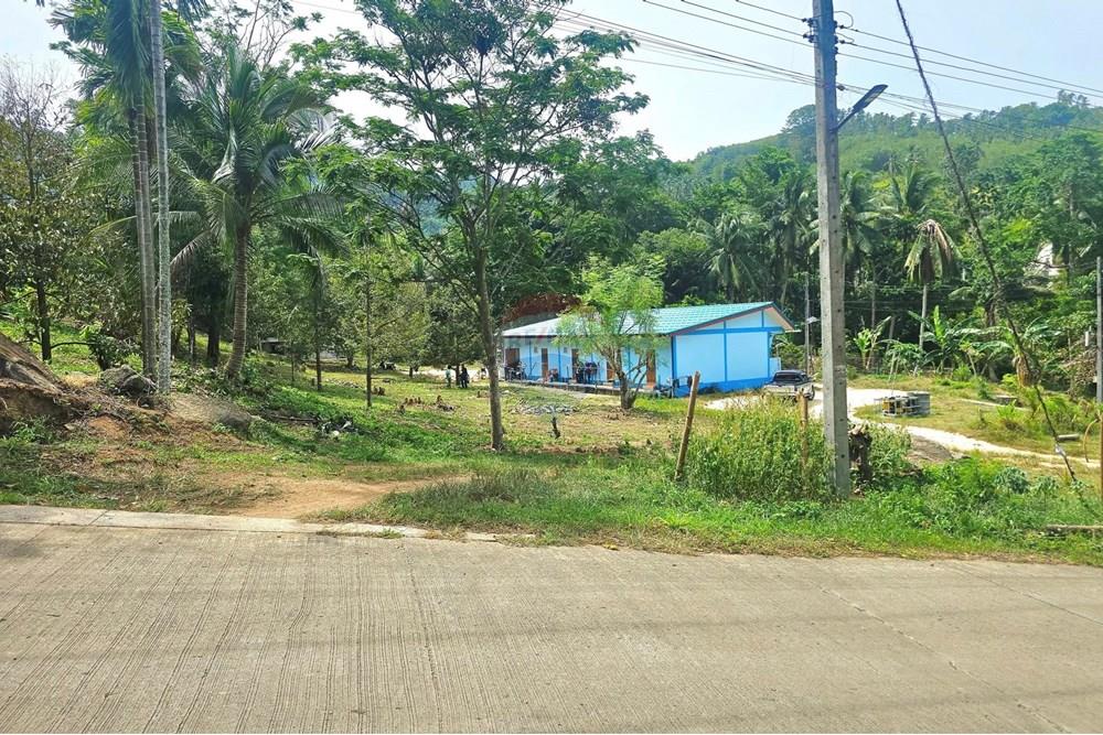 Land - Residential - For Sale - Koh Samui, Surat Thani - 545836104_10222887914466178_2695245974124520614_n.jpg - 920121018-328