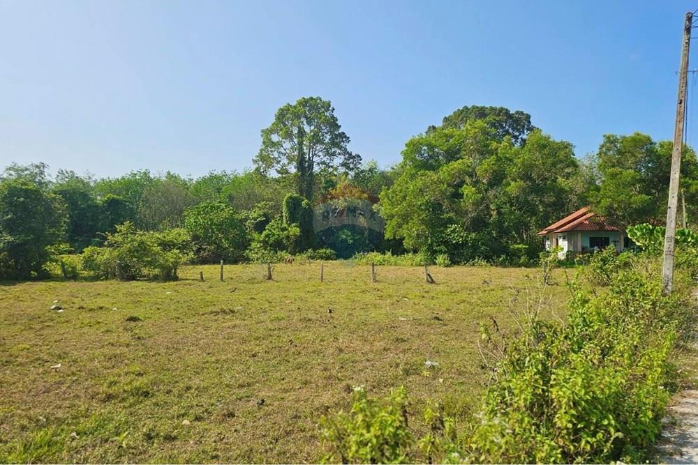 Land - Residential - For Sale - Tha Sala, Nakhon Si Thammarat - S__209100807_0.jpg - 920121030-302