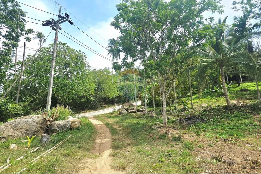 Land - Residential - For Sale - Koh Samui, Surat Thani - 545807998_10222887926026467_7649220859922740940_n.jpg - 920121018-328