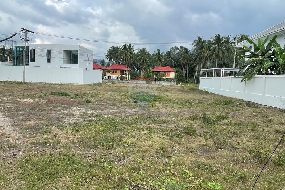 Land - Residential - For Sale - Koh Samui, Surat Thani - IMG_4536.jpeg - 920121079-39
