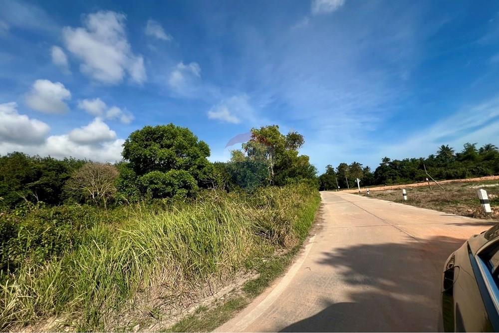 Land - Residential - For Sale - Koh Samui, Surat Thani - S__206618646_0.jpg - 920121030-298