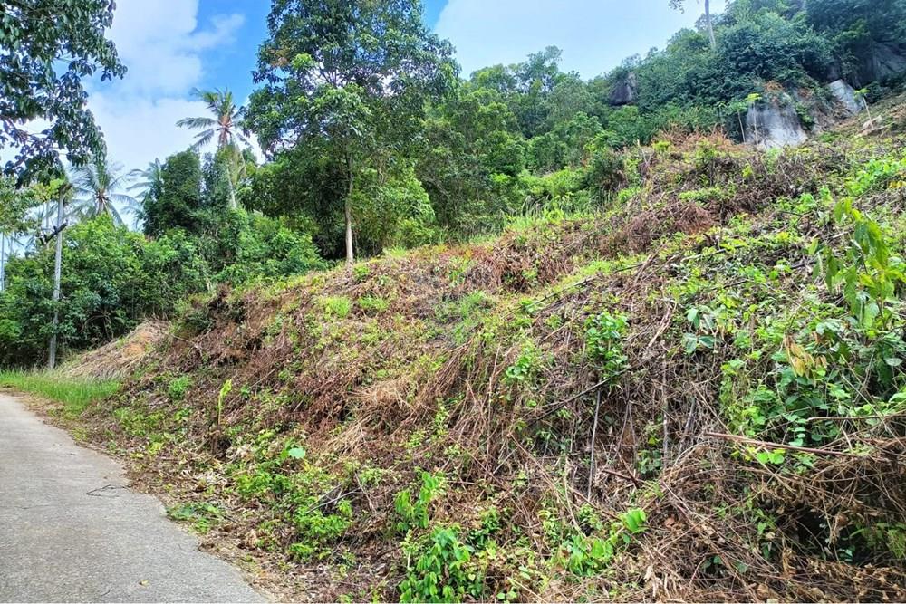Land - Residential - For Sale - Koh Samui, Surat Thani - WhatsApp Image 2025-09-30 at 15.42.37_ca2cfe68.jpg - 920121083-65