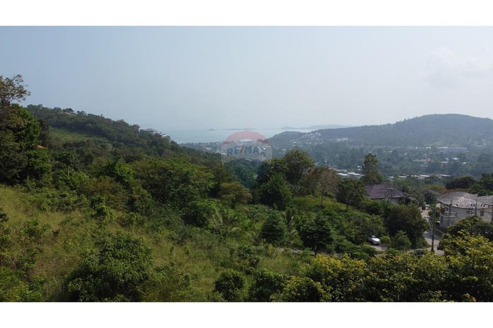 Land - Residential - For Sale - Koh Samui, Surat Thani - IMG_4847.JPG - 920121077-14