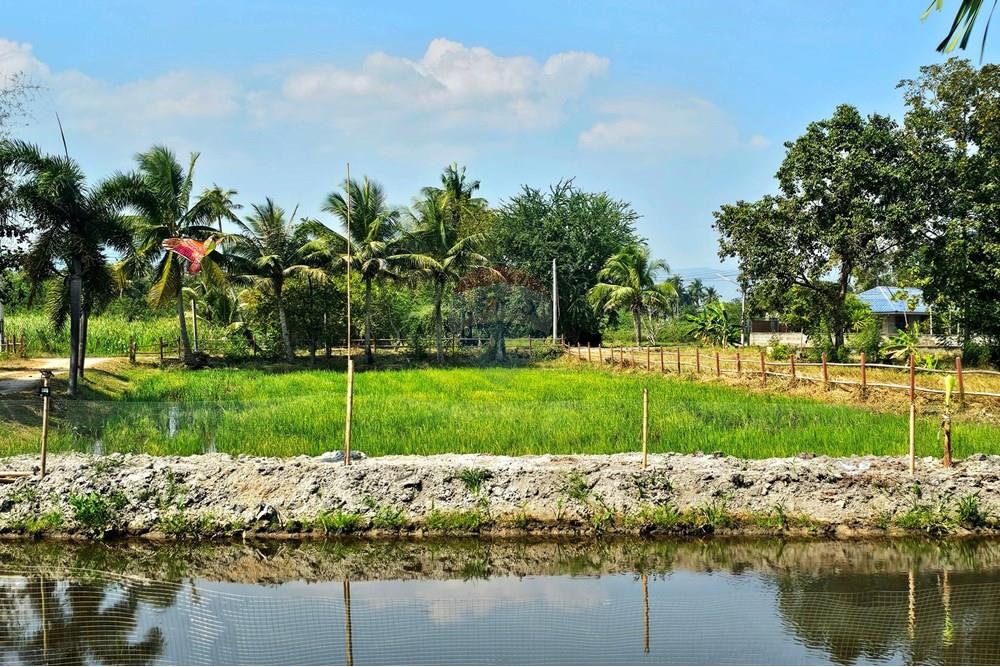 Single House - For Rent/Lease - Cha-Am, Phetchaburi - 20240122_113941.jpg - 920601001-1069