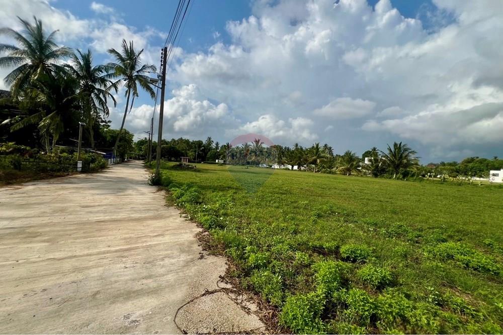 Land - Residential - For Sale - Tha Sala, Nakhon Si Thammarat - S__207192076_0.jpg - 920121030-299
