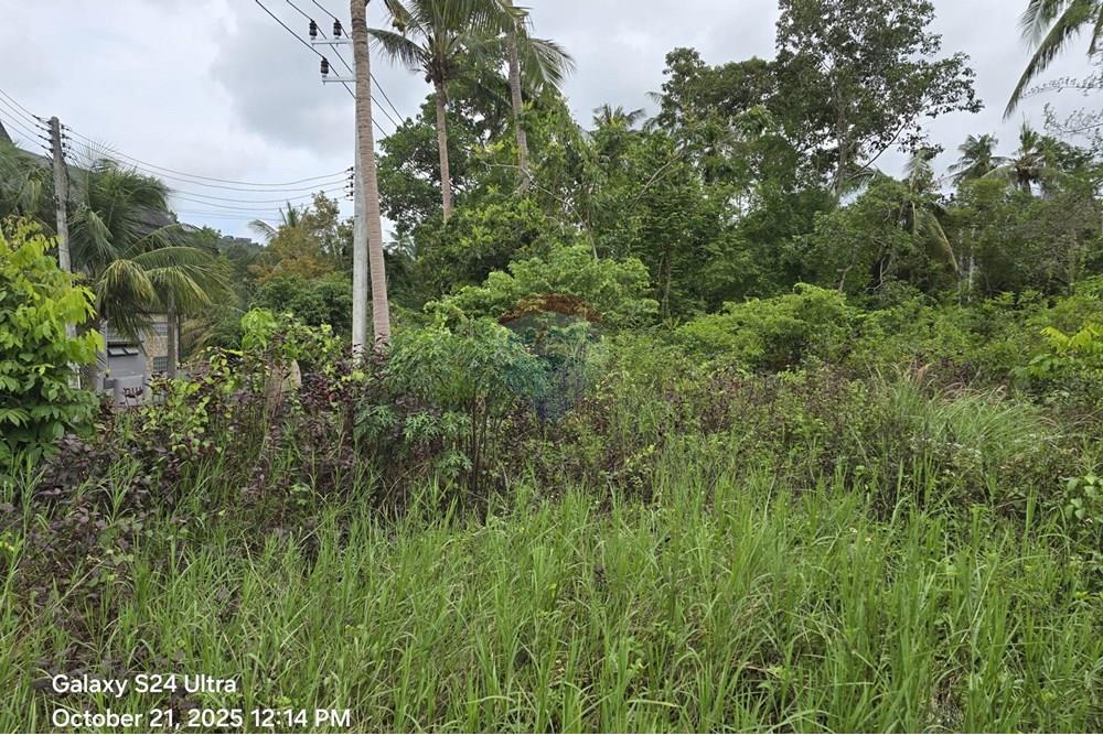Land - Residential - For Sale - Koh Samui, Surat Thani - WhatsApp Image 2025-10-21 at 12.28.06 PM111.jpeg - 920121057-164