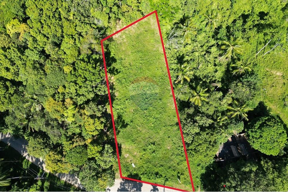 Land - Residential - For Sale - Koh Samui, Surat Thani - IMG-20251205-WA0027[1].jpg - 920121068-80