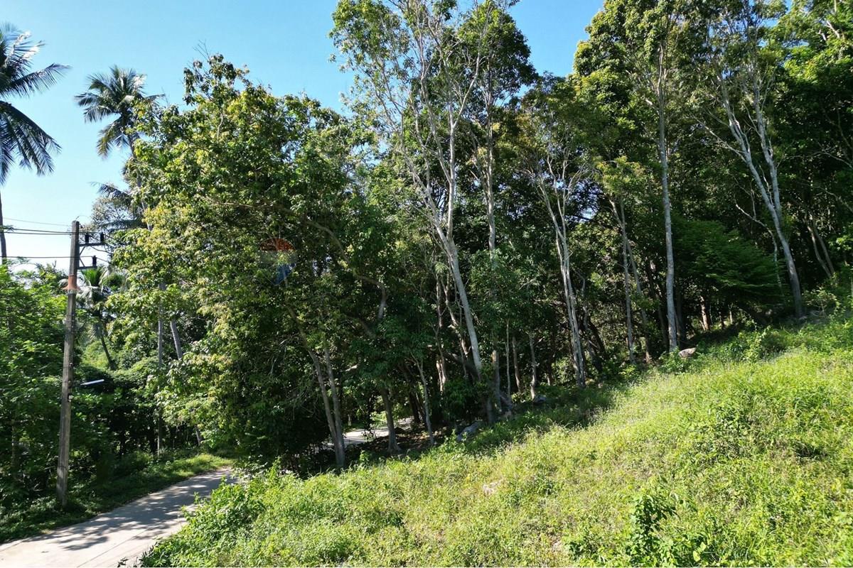 Land - Residential - For Sale - Koh Samui, Surat Thani - IMG-20251205-WA0020.jpg - 920121068-101