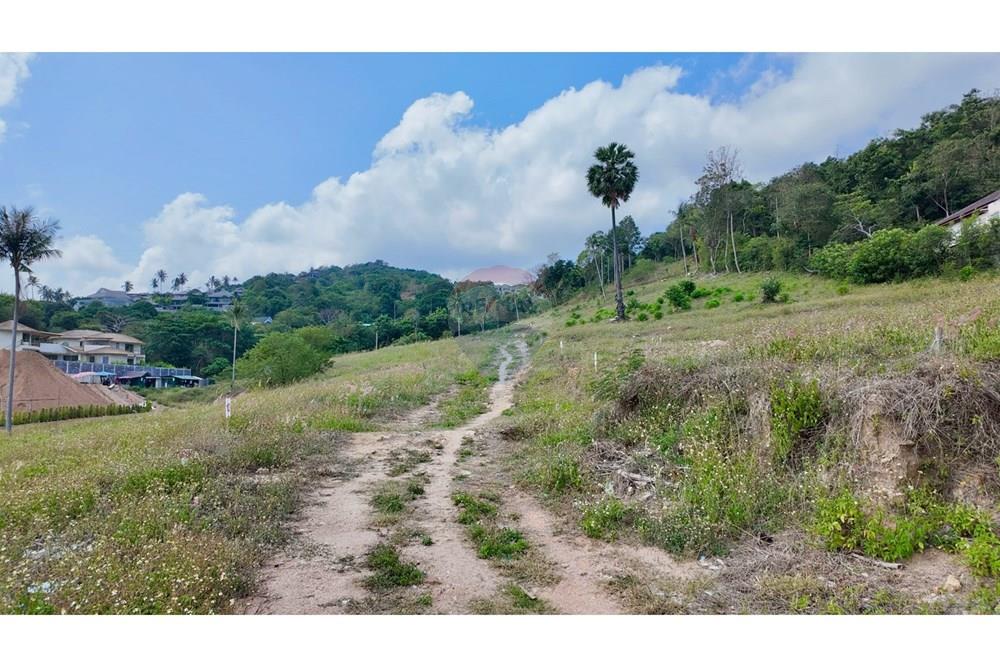 Land - Residential - For Sale - Koh Samui, Surat Thani - LINE_ALBUM_Land @MaeNam_260325_29.jpg - 920121001-3514