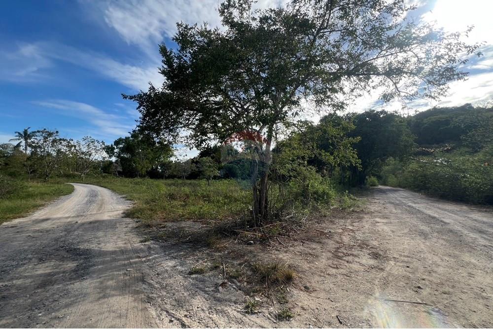 Land - Residential - For Sale - Koh Samui, Surat Thani - S__26820669_0.jpg - 920121030-278