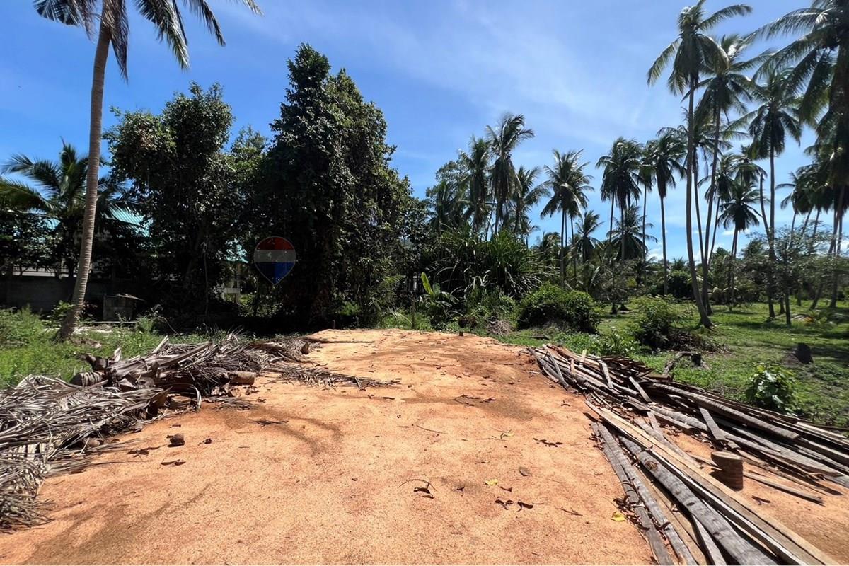 Land - Residential - For Sale - Koh Samui, Surat Thani - S__42434585_0.jpg - 920121030-308