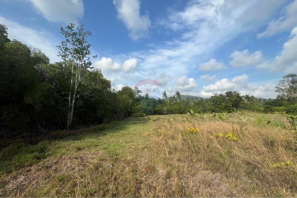 Land - Residential - For Rent/Lease - Koh Samui, Surat Thani - S__206094343_0.jpg - 920121030-296
