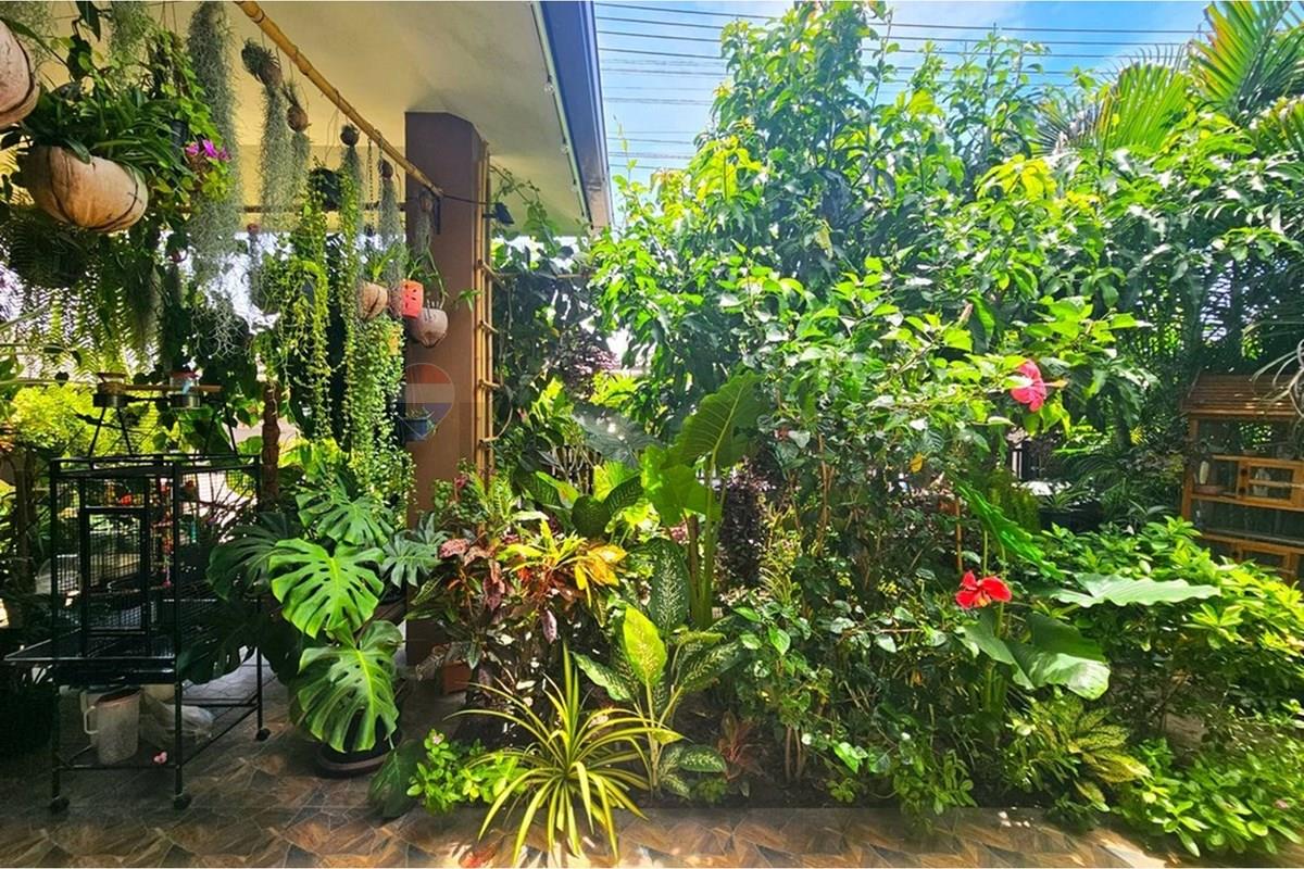 Villa - For Sale - Pran Buri, Prachuap Khiri Khan - 20260620_120005.jpg - 920601001-1182