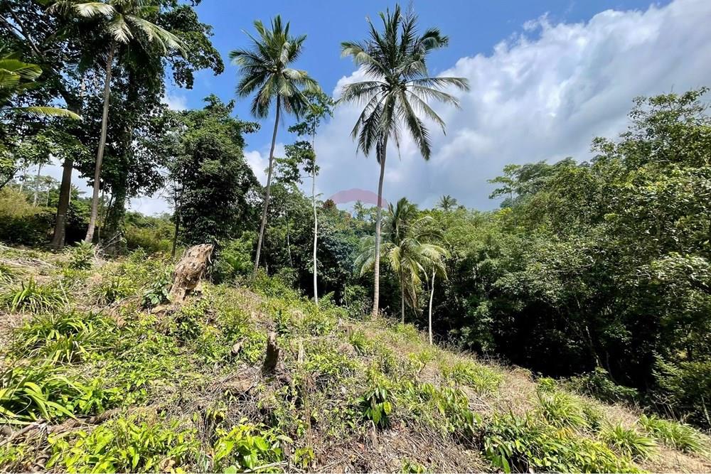 Land - Residential - For Sale - Koh Samui, Surat Thani - WhatsApp Image 2026-03-13 at 22.04.36.jpeg - 920121068-92
