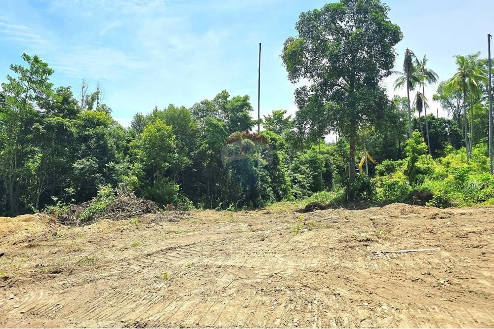 Land - Residential - For Sale - Koh Samui, Surat Thani - 516375712_10222356876550562_915562541352905471_n.jpg - 920121018-306