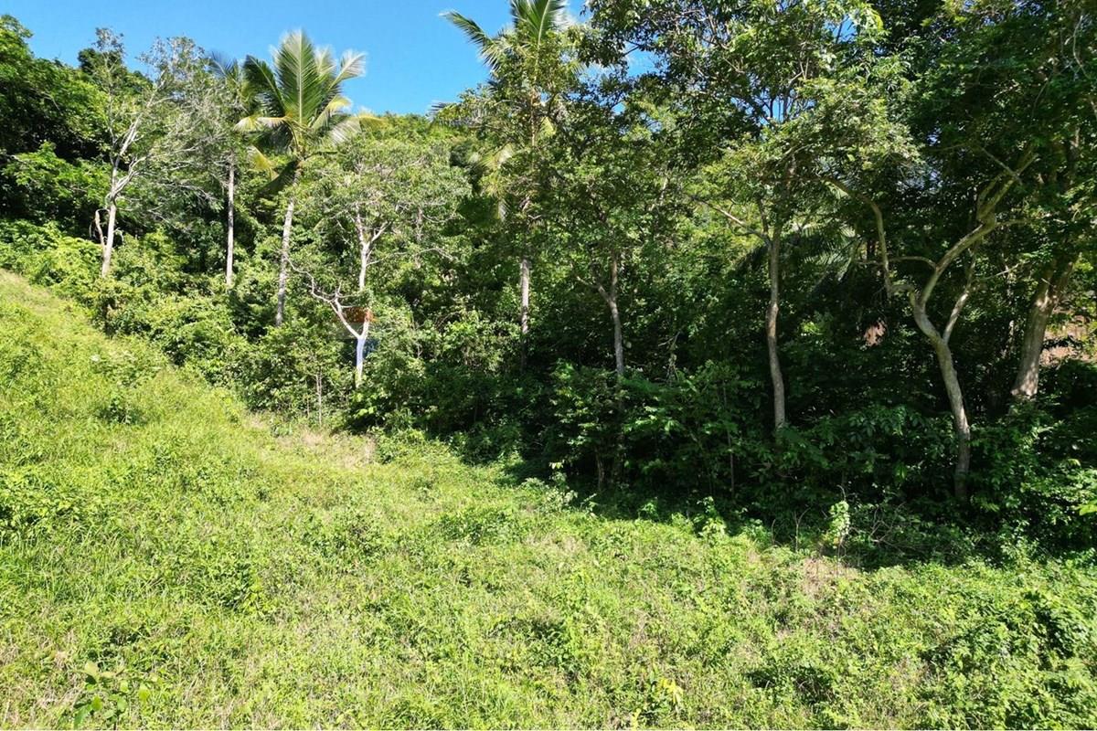 Land - Residential - For Sale - Koh Samui, Surat Thani - IMG-20251205-WA0019.jpg - 920121068-102