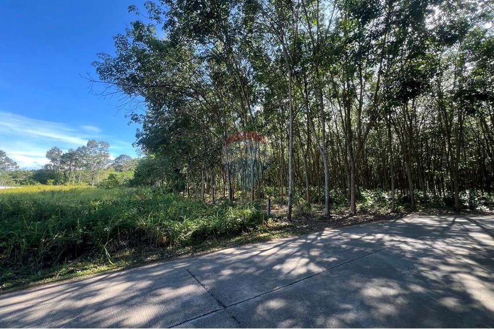 Land - Residential - For Sale - Koh Samui, Surat Thani - S__26820664_0.jpg - 920121030-278