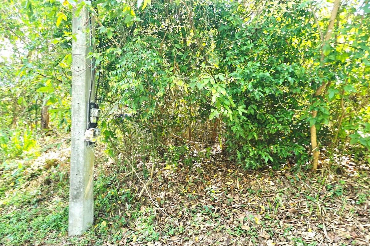 Land - Residential - For Sale - Koh Samui, Surat Thani - 005.jpg - 920121018-340