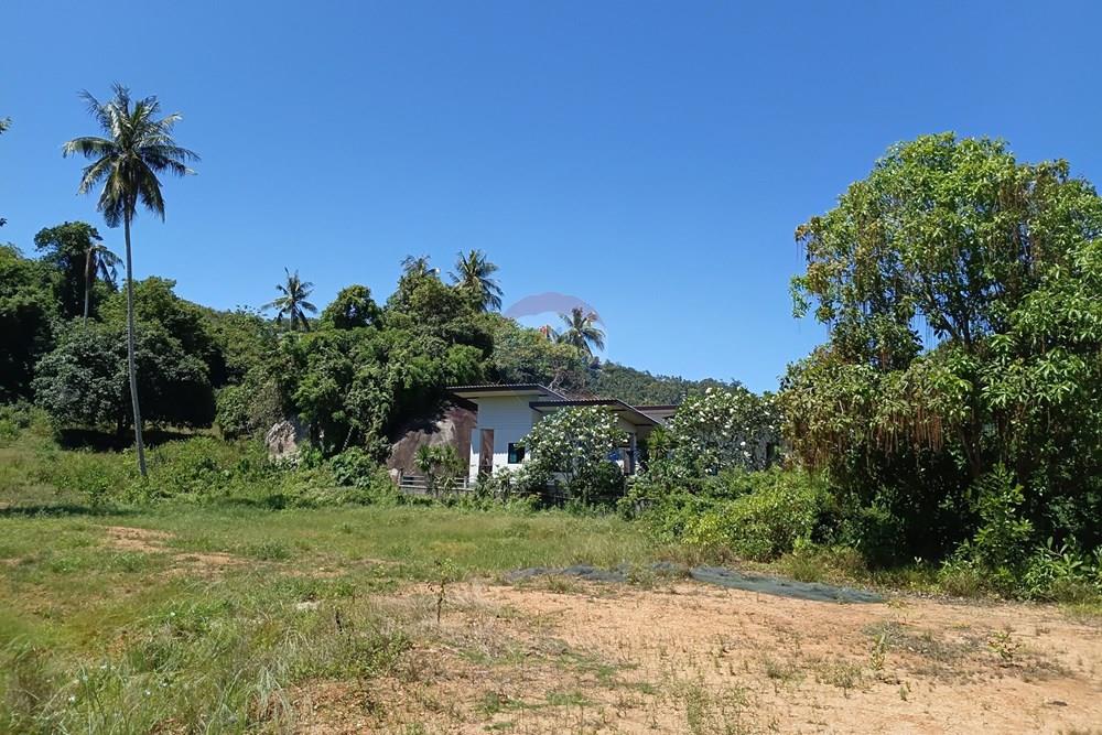 Land - Residential - For Sale - Koh Samui, Surat Thani - 20260228_111813.jpg - 920121087-11