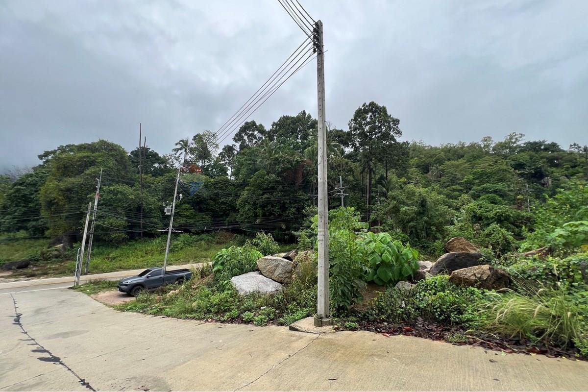 Land - Residential - For Sale - Koh Samui, Surat Thani - S__211861530.jpg - 920121030-305