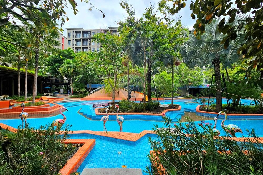 Condo/Apartment - For Rent/Lease - Hua Hin, Prachuap Khiri Khan - 20230831_113207.jpg - 920601001-1135