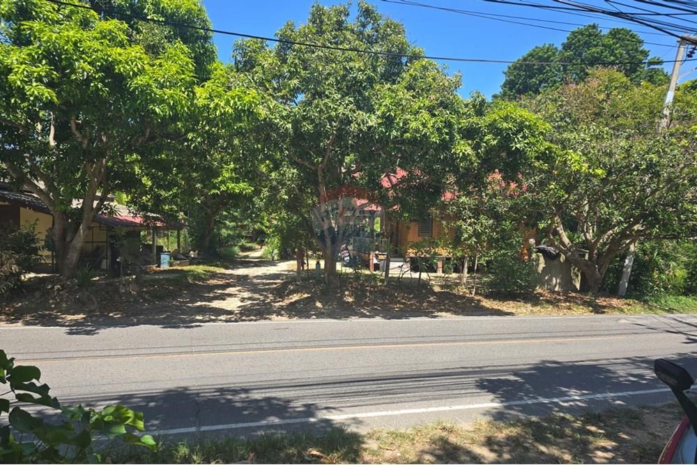 Land - Residential - For Sale - Koh Samui, Surat Thani - IMG-20250910-WA0009.jpg - 920121057-162