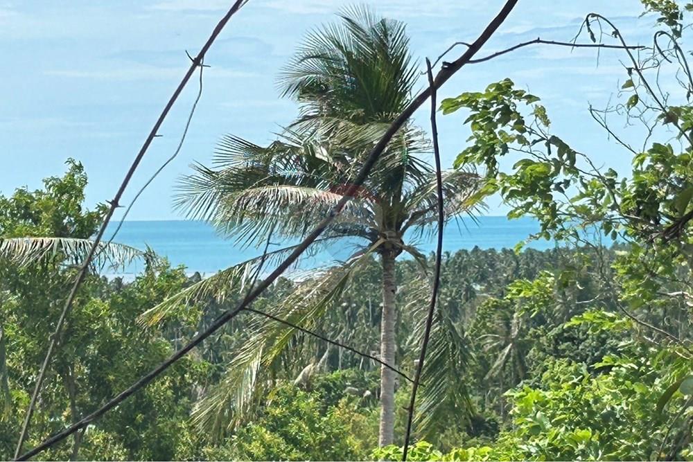 Land - Residential - For Sale - Koh Samui, Surat Thani - S__27320344_0.jpg - 920121075-97