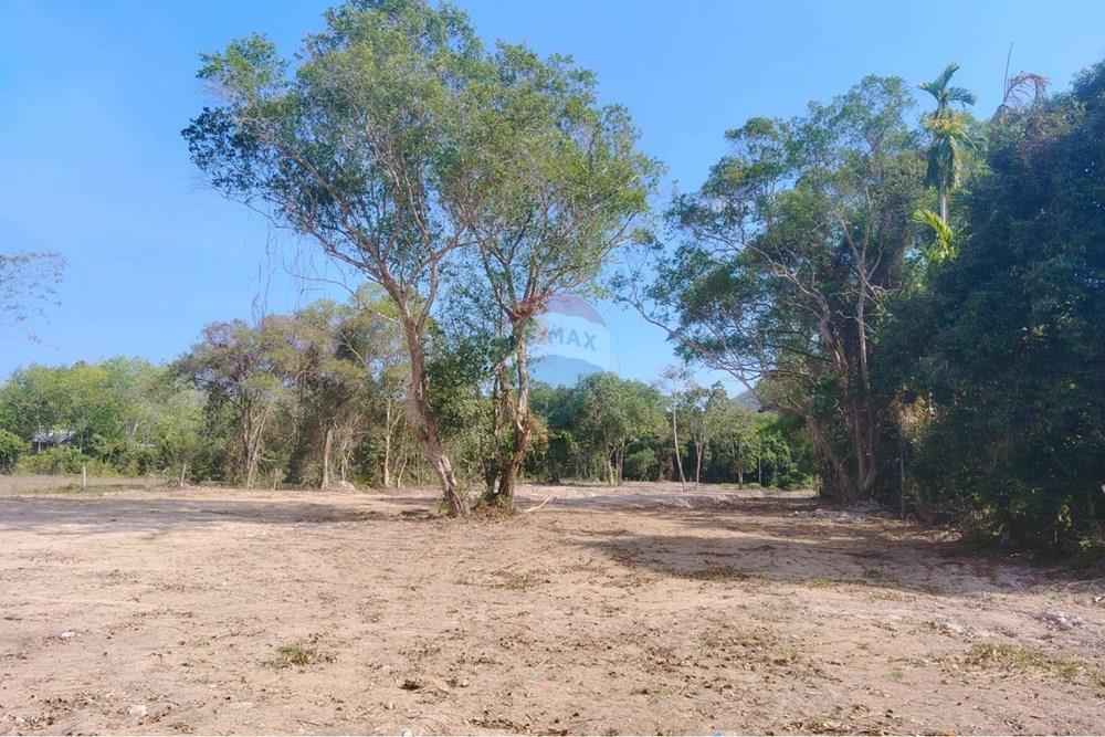 Land - Residential - For Sale - Koh Samui, Surat Thani - 655622_0.jpg - 920121075-106