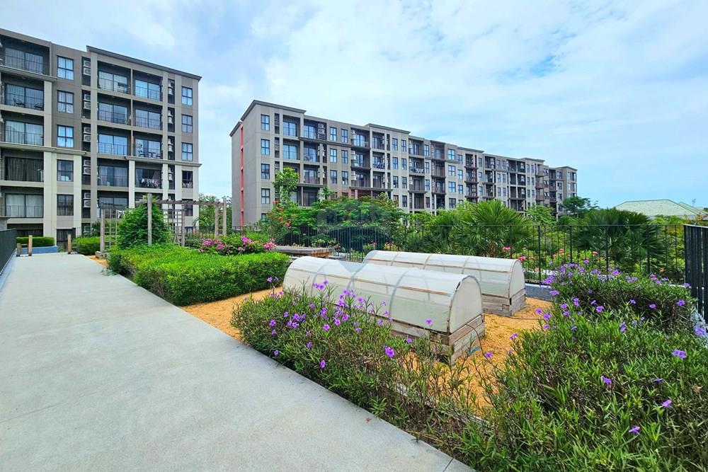 Condo/Apartment - For Rent/Lease - Hua Hin, Prachuap Khiri Khan - 20230831_114430.jpg - 920601001-1135