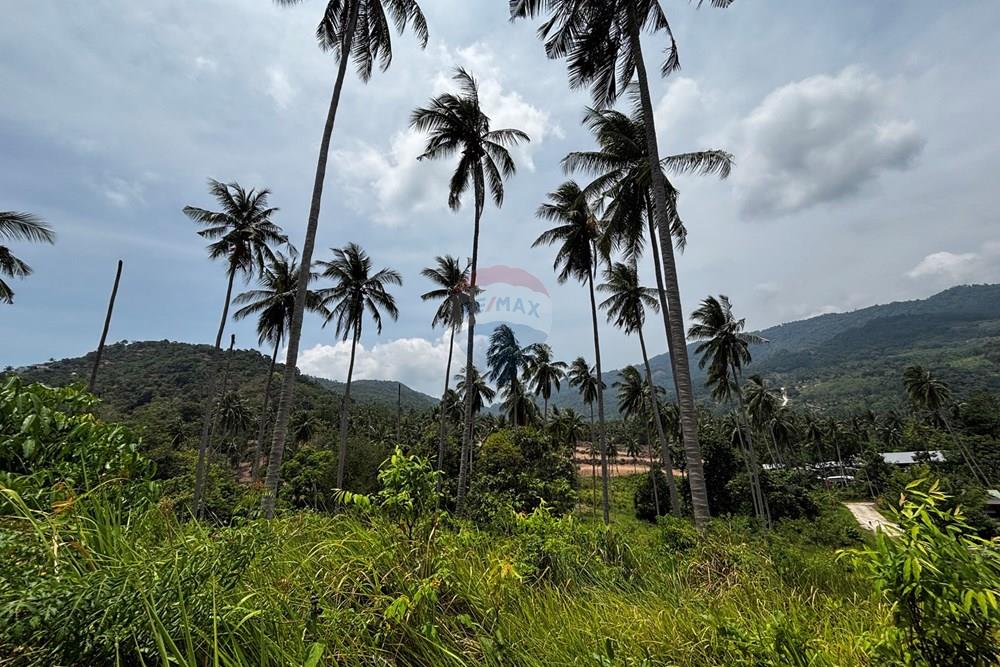 Land - Residential - For Sale - Koh Samui, Surat Thani - IMG_2420.jpeg - 920121088-20