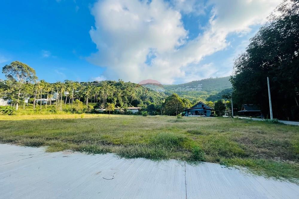 Land - Residential - For Sale - Koh Samui, Surat Thani - IMG_4195.jpeg - 920121079-38