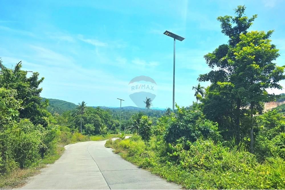 Land - Residential - For Sale - Koh Samui, Surat Thani - 004.jpg - 920121018-306