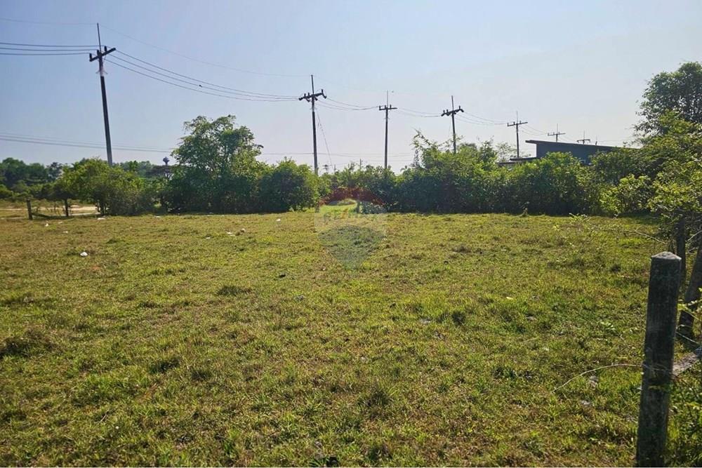 Land - Residential - For Sale - Tha Sala, Nakhon Si Thammarat - S__209100803_0.jpg - 920121030-302