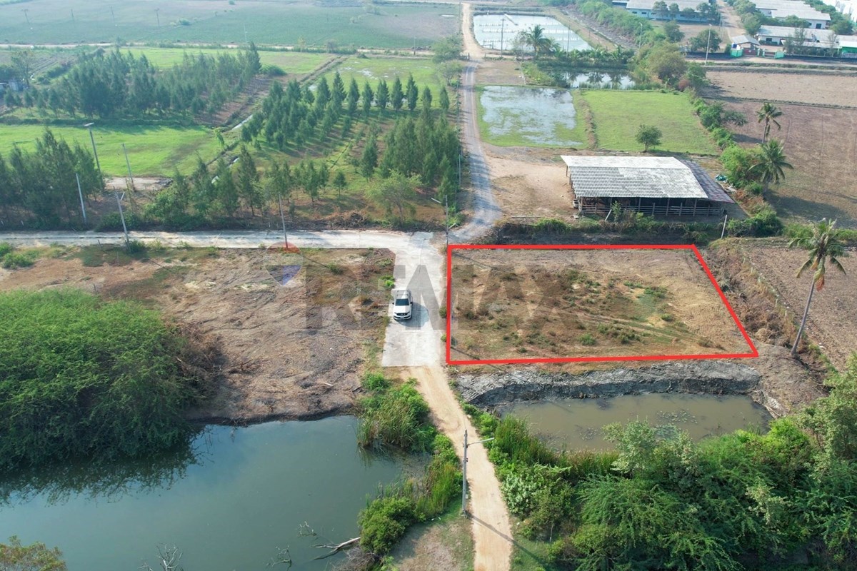 Land - Residential - For Sale - Mueang Phetchaburi, Phetchaburi - 2.jpg - 920601001-1289