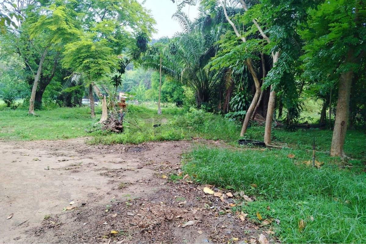 Land - Residential - For Sale - Koh Samui, Surat Thani - 672619_0.jpg - 920121075-110