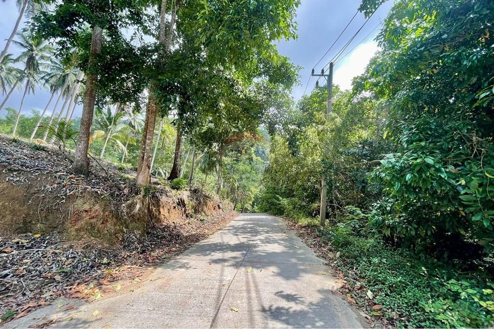 Land - Residential - For Sale - Koh Samui, Surat Thani - WhatsApp Image 2026-03-13 at 22.04.34.jpeg - 920121068-92