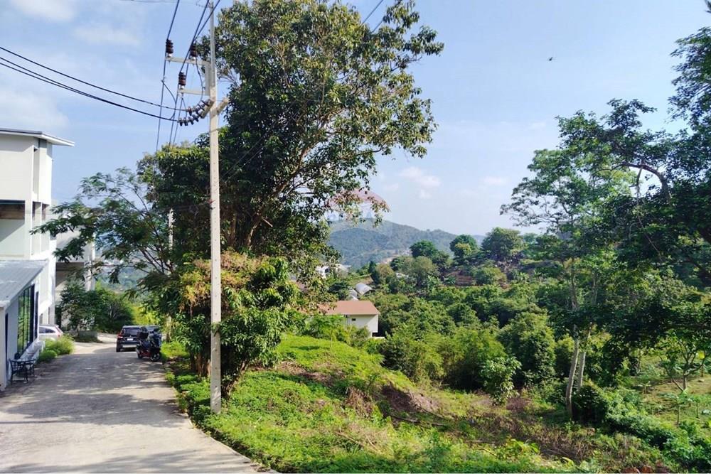 Land - Residential - For Sale - Koh Samui, Surat Thani - 627020.jpg - 920121075-92